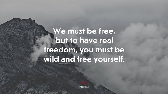 We must be free, but to have real freedom, you must be wild and free yourself. | Bryant McGill quote