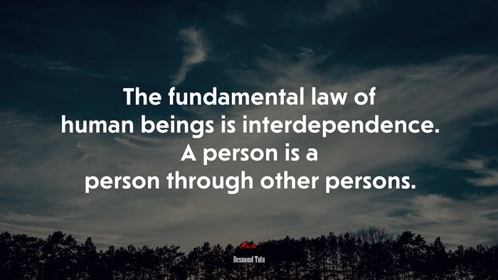 The fundamental law of human beings is interdependence. A person is a person through other persons. | Desmond Tutu quote