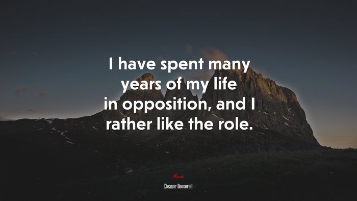 I have spent many years of my life in opposition, and I rather like the role. | Eleanor Roosevelt quote