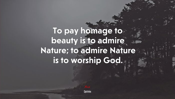 To pay homage to beauty is to admire Nature; to admire Nature is to worship God. | Epictetus quote