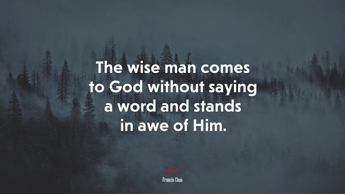 The wise man comes to God without saying a word and stands in awe of Him. | Francis Chan quote