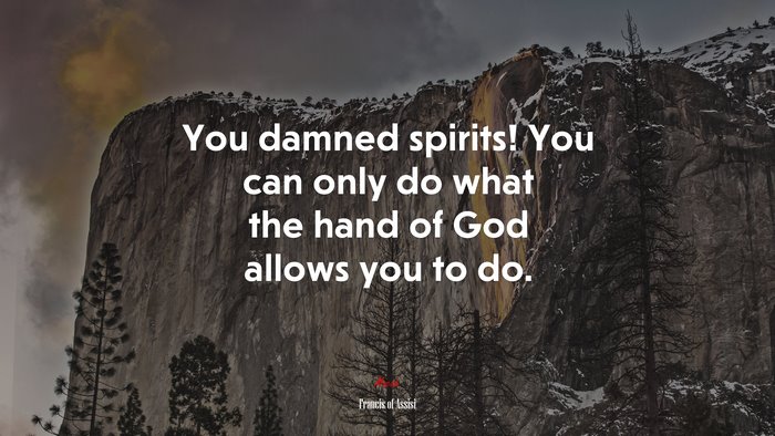 You damned spirits! You can only do what the hand of God allows you to do. | Francis of Assisi quote