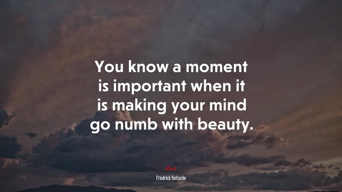 You know a moment is important when it is making your mind go numb with beauty. | Friedrich Nietzsche quote