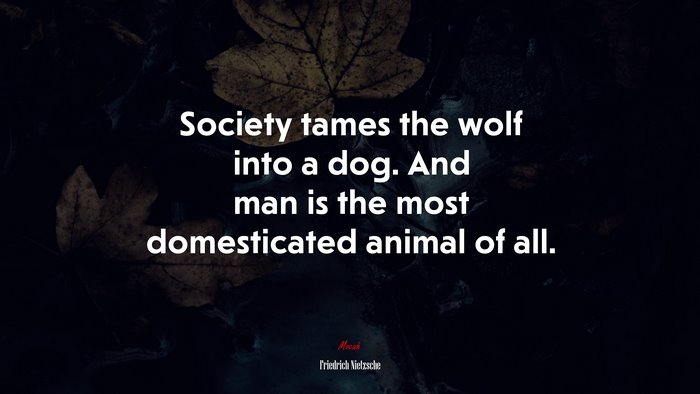 Society tames the wolf into a dog. And man is the most domesticated animal of all. | Friedrich Nietzsche quote
