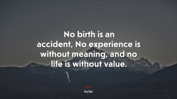 No birth is an accident, No experience is without meaning, and no life is without value. | Gary Zukav quote