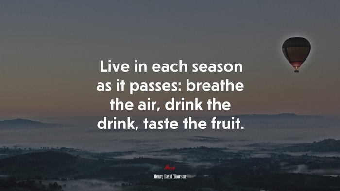 Live in each season as it passes: breathe the air, drink the drink, taste the fruit. | Henry David Thoreau quote
