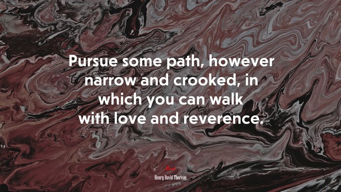 Pursue some path, however narrow and crooked, in which you can walk with love and reverence. | Henry David Thoreau quote