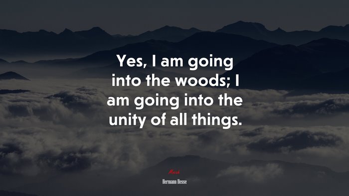 Yes, I am going into the woods; I am going into the unity of all things. | Hermann Hesse quote