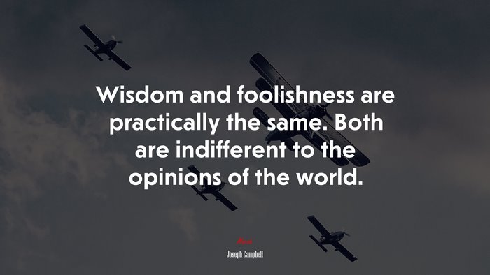 Wisdom and foolishness are practically the same. Both are indifferent to the opinions of the world. | Joseph Campbell quote
