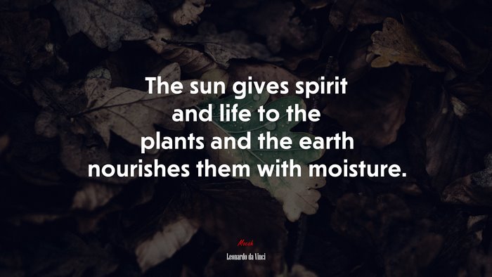 The sun gives spirit and life to the plants and the earth nourishes them with moisture. | Leonardo da Vinci quote