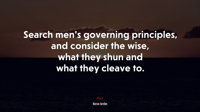 Search men’s governing principles, and consider the wise, what they shun and what they cleave to. | Marcus Aurelius quote
