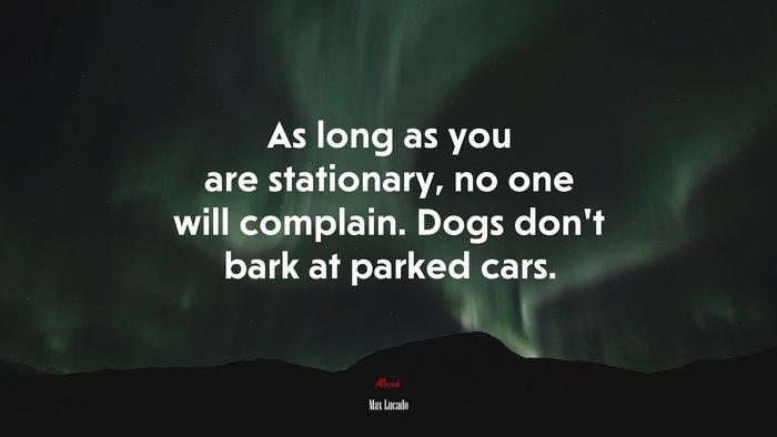 As long as you are stationary, no one will complain. Dogs don’t bark at parked cars. | Max Lucado quote