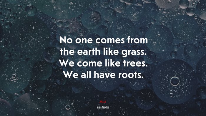 No one comes from the earth like grass. We come like trees. We all have roots. | Maya Angelou quote