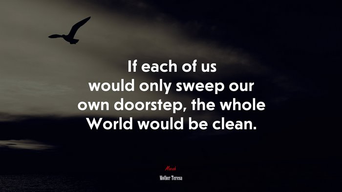 If each of us would only sweep our own doorstep, the whole World would be clean. | Mother Teresa quote