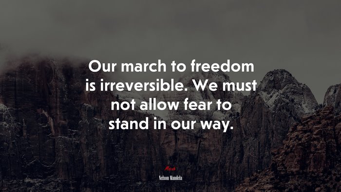 Our march to freedom is irreversible. We must not allow fear to stand in our way. | Nelson Mandela quote