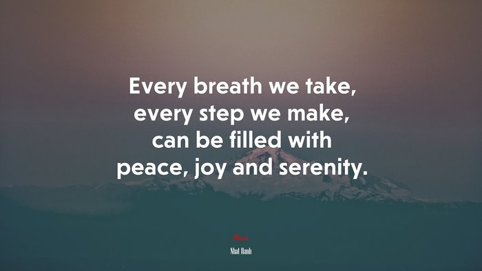 Every breath we take, every step we make, can be filled with peace, joy and serenity. | Nhat Hanh quote