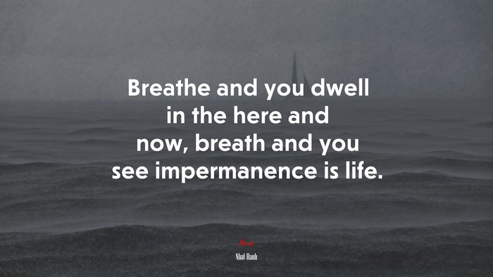 Breathe and you dwell in the here and now, breath and you see impermanence is life. | Nhat Hanh quote