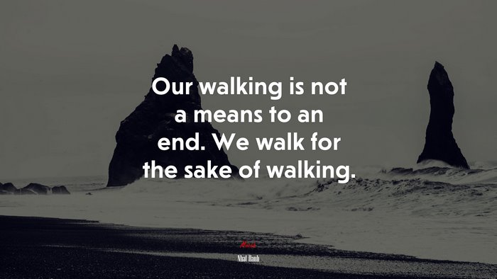 Our walking is not a means to an end. We walk for the sake of walking. | Nhat Hanh quote