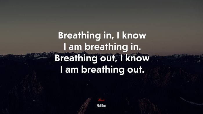 Breathing in, I know I am breathing in. Breathing out, I know I am breathing out. | Nhat Hanh quote