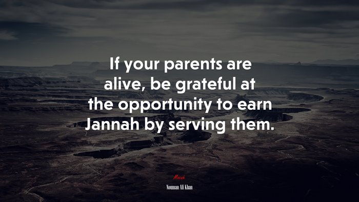 If your parents are alive, be grateful at the opportunity to earn Jannah by serving them. | Nouman Ali Khan quote