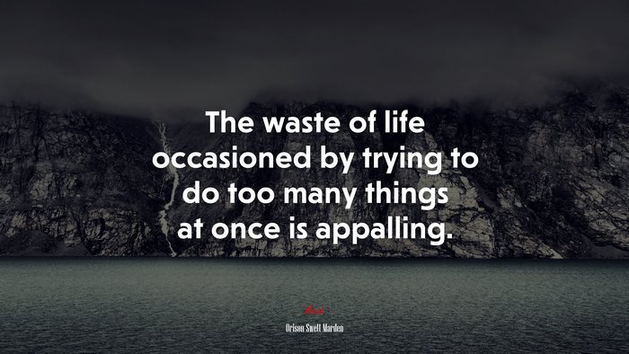 The waste of life occasioned by trying to do too many things at once is appalling. | Orison Swett Marden quote