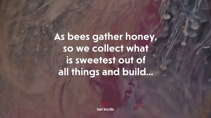 As bees gather honey, so we collect what is sweetest out of all things and build... | Rainer Maria Rilke quote