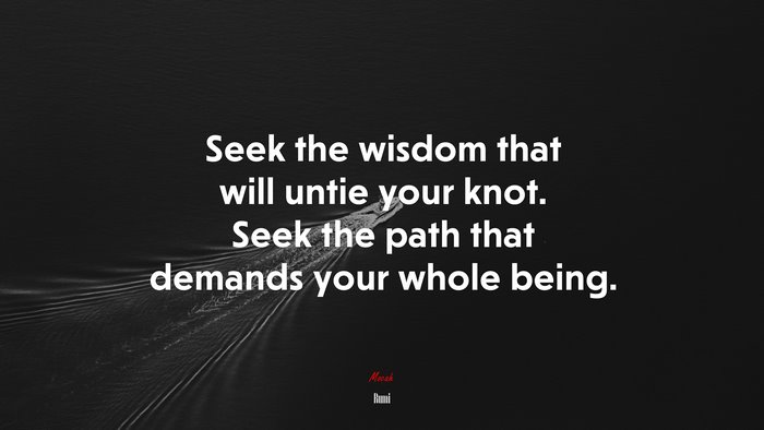 Seek the wisdom that will untie your knot. Seek the path that demands your whole being. | Rumi quote