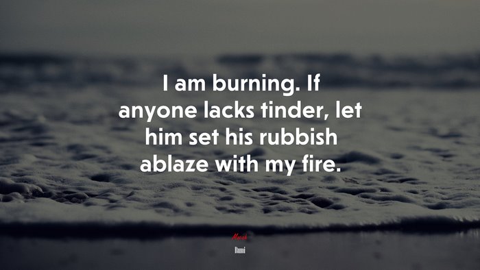 I am burning. If anyone lacks tinder, let him set his rubbish ablaze with my fire. | Rumi quote