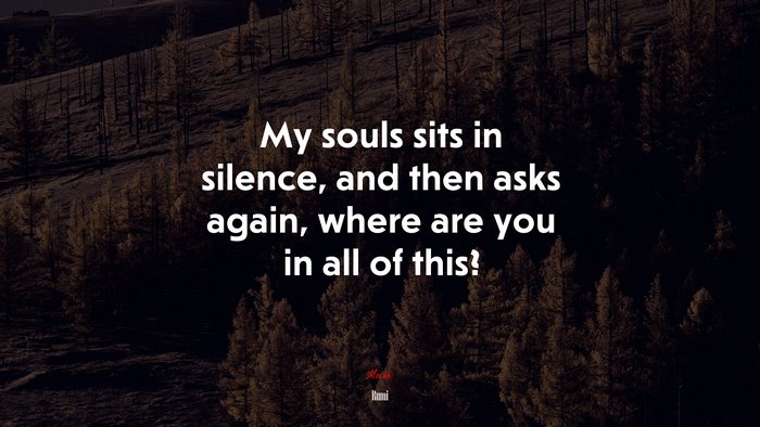 My souls sits in silence, and then asks again, where are you in all of this? | Rumi quote