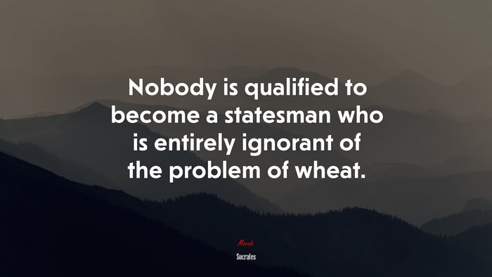 Nobody is qualified to become a statesman who is entirely ignorant of the problem of wheat. | Socrates quote