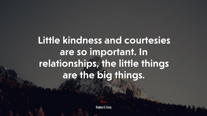 Little kindness and courtesies are so important. In relationships, the little things are the big things. | Stephen R. Covey quote