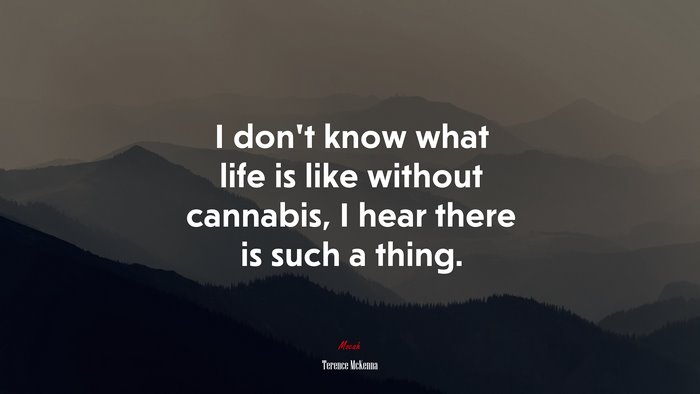 I don’t know what life is like without cannabis, I hear there is such a thing. | Terence McKenna quote