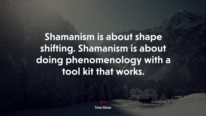 Shamanism is about shape shifting. Shamanism is about doing phenomenology with a tool kit that works. | Terence McKenna quote