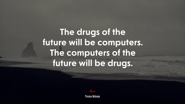 The drugs of the future will be computers. The computers of the future will be drugs. | Terence McKenna quote