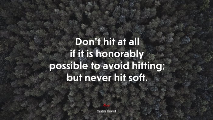 Don’t hit at all if it is honorably possible to avoid hitting; but never hit soft. | Theodore Roosevelt quote
