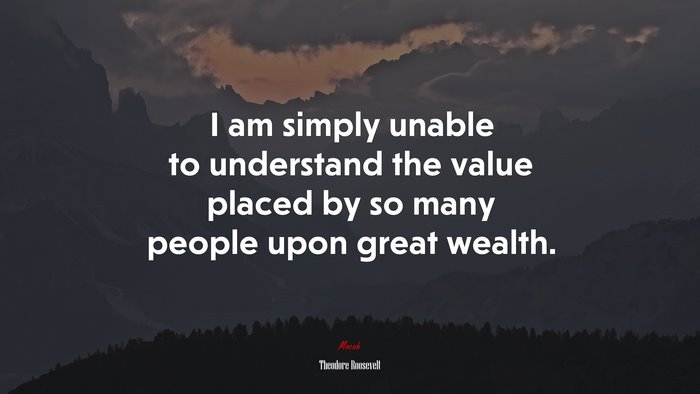 I am simply unable to understand the value placed by so many people upon great wealth. | Theodore Roosevelt quote