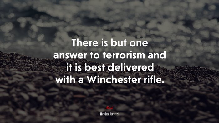 There is but one answer to terrorism and it is best delivered with a Winchester rifle. | Theodore Roosevelt quote