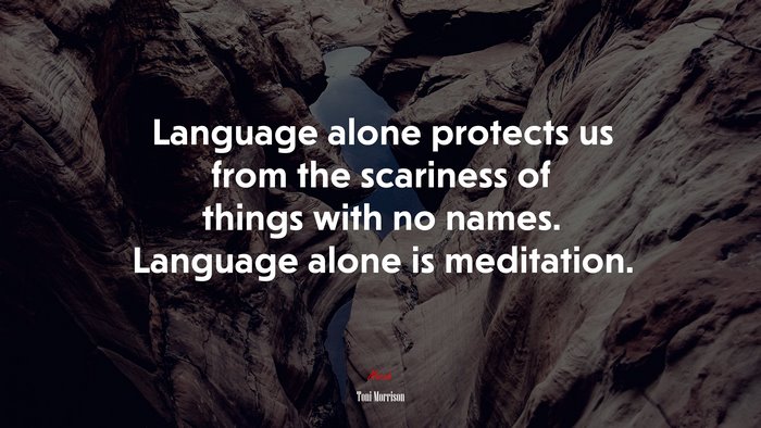 Language alone protects us from the scariness of things with no names. Language alone is meditation. | Toni Morrison quote