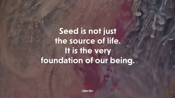 Seed is not just the source of life. It is the very foundation of our being. | Vandana Shiva quote