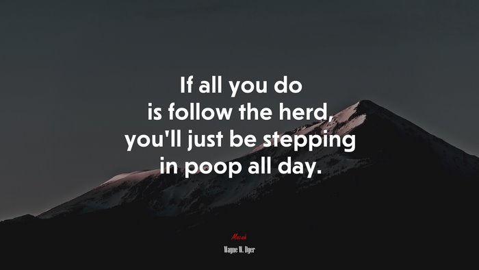 If all you do is follow the herd, you’ll just be stepping in poop all day. | Wayne W. Dyer quote