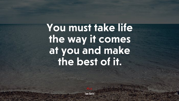 You must take life the way it comes at you and make the best of it. | Yann Martel quote