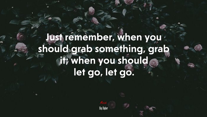 Just remember, when you should grab something, grab it; when you should let go, let go. | Zig Ziglar quote