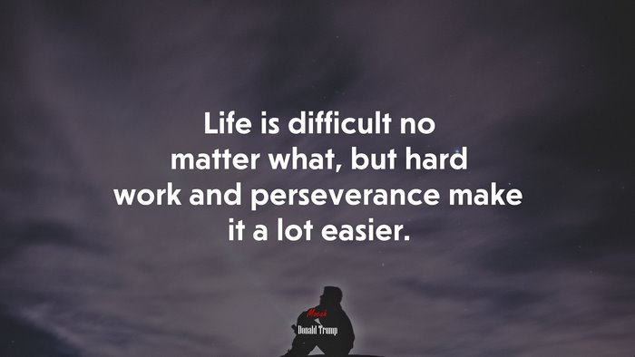 Life is difficult no matter what, but hard work and perseverance make it a lot easier. | Donald Trump quote