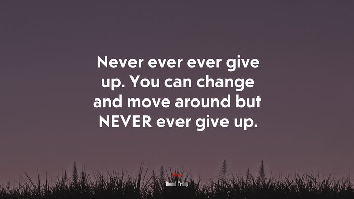 Never ever ever give up. You can change and move around but NEVER ever give up. | Donald Trump quote