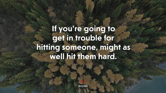If you’re going to get in trouble for hitting someone, might as well hit them hard. | Harry Styles quote