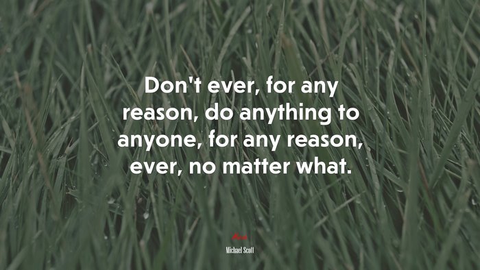 Don’t ever, for any reason, do anything to anyone, for any reason, ever, no matter what. | Michael Scott quote