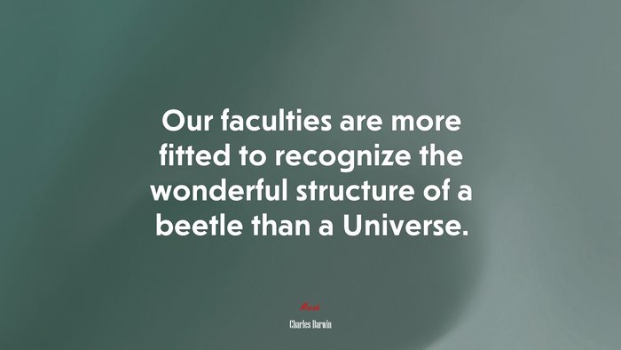 Our faculties are more fitted to recognize the wonderful structure of a beetle than a Universe. | Charles Darwin quote