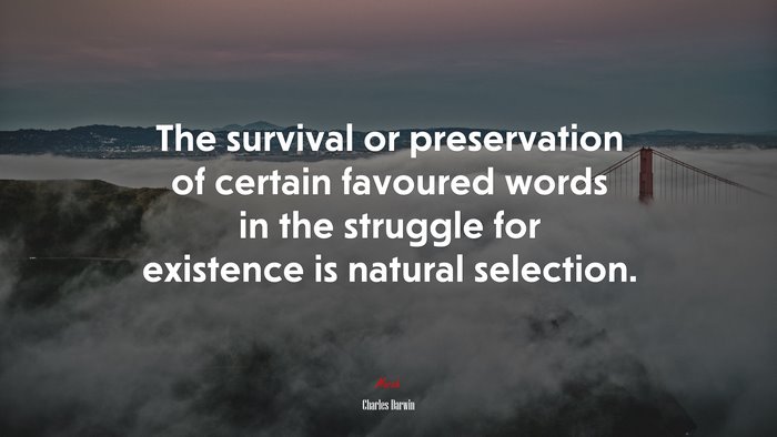 The survival or preservation of certain favoured words in the struggle for existence is natural selection. | Charles Darwin quote