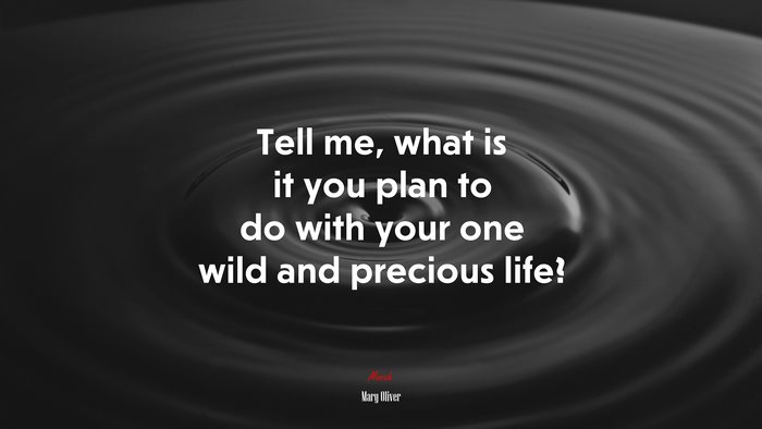 Tell me, what is it you plan to do with your one wild and precious life? | Mary Oliver quote