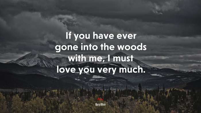 If you have ever gone into the woods with me, I must love you very much. | Mary Oliver quote